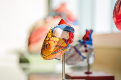 World Heart Day: le linee guida del ministero della salute per prevenire le malattie cardiovascolari