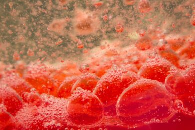 Livelli lipidici nel sangue in gravidanza: Un indizio per la salute cardiovascolare