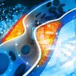 Valori ideali di colesterolo