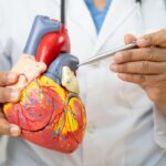 malattie cardiovascolari